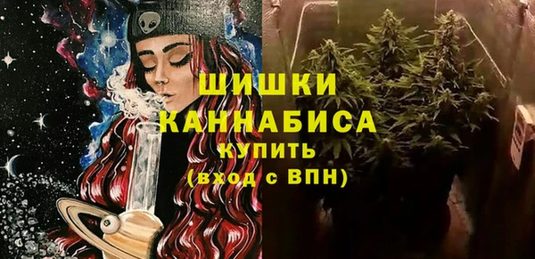 PSILOCYBIN Инта
