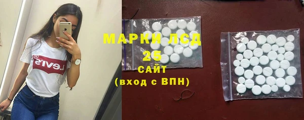 хмурый Инсар