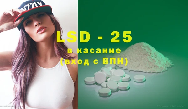 хмурый Инсар