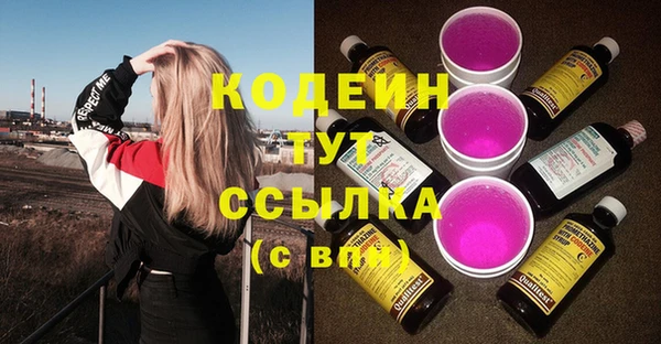хмурый Инсар