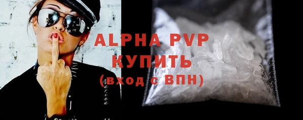 PSILOCYBIN Инта
