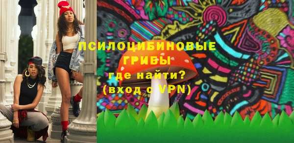PSILOCYBIN Инта