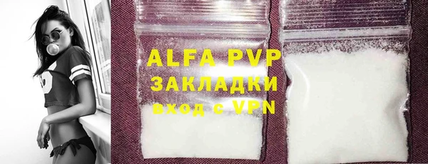 хмурый Инсар