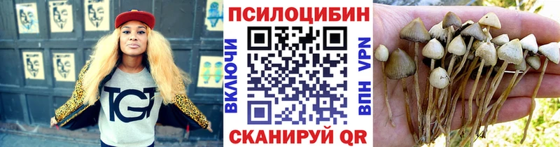 Псилоцибиновые грибы Psilocybine cubensis  Купить закладки  Енисейск 